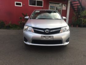 2015,Toyota Fielder(NZE4830),Grey