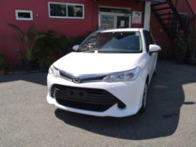 2017,Toyota Fielder(NZE3320),White