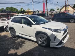 2020 Toyota Rav4 Hybrid full